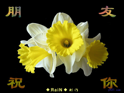 祝福朋友