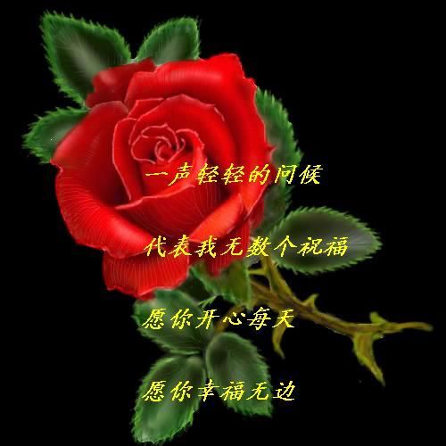 一声问候，代表无数个祝福
