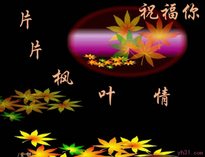 片片枫叶情