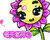 每天都开心