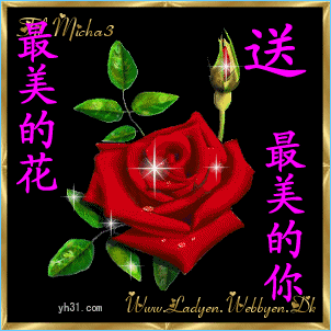 送最美的花给你