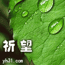 希望你一年更比一年好