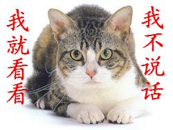 我就看看，我不说话