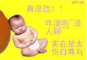 真没劲，没人聊天