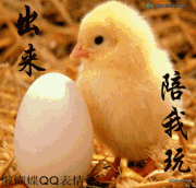 快出来陪我玩