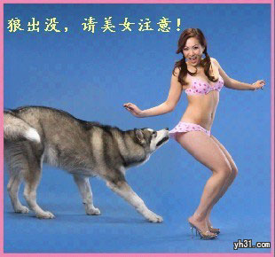 狼来了，请美女注意