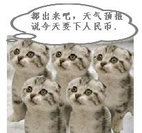 都出来吧，天气预报要下人民币