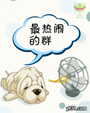 这是最热闹的群