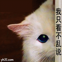 偷看的小猫，我只看看不说话