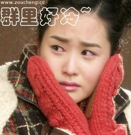 群里好冷啊