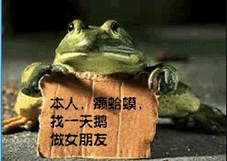 本人癞蛤蟆，找天鹅做女友