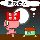 有房有车，寻找情人