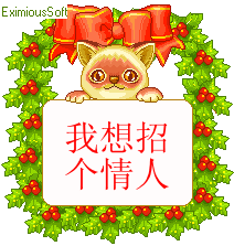 我想招一个情人
