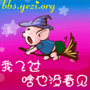 我飞过，啥也没看见