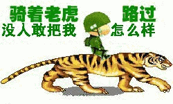 骑着老虎路过