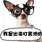 带眼镜打酱油的狗狗