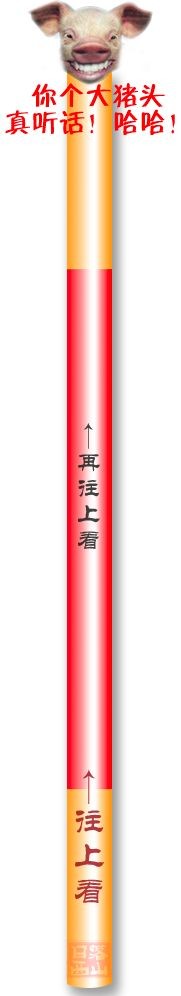 往上看，请向上看