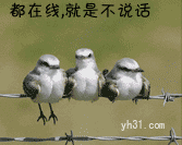 都在线，就是不说话