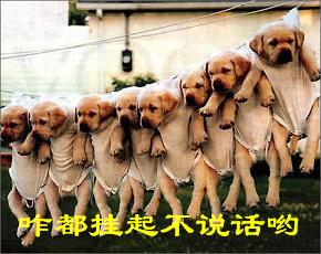 咋都挂起不说话哟