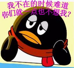 不在时难道一点不想我