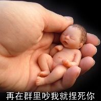 在群里吵捏死你