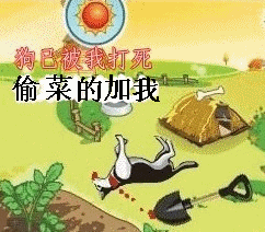 狗已被我打死，偷菜的加我