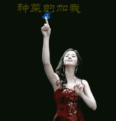 偷菜的快来加美女
