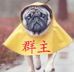 群主跑来了
