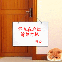 群主在泡妞，请勿打挠