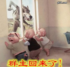 群主回来了