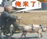 俺来了