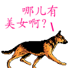 哪儿有美女啊