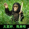 大家好，我来啦