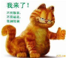 咖啡猫来了，不用鲜花不用豉掌