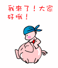 骑猪来了，大家好啊