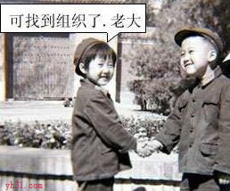 可找到组织了