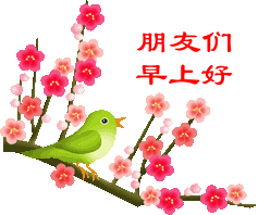 朋友们，早上好