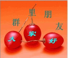群里的朋友大家好
