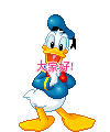 可爱小鸭登场