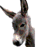 不欢迎你，滚出去