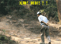 无聊，回村了
