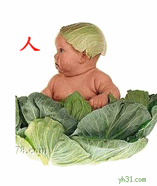 藏在菜里的小朋友