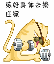 练好身体去揍庄家
