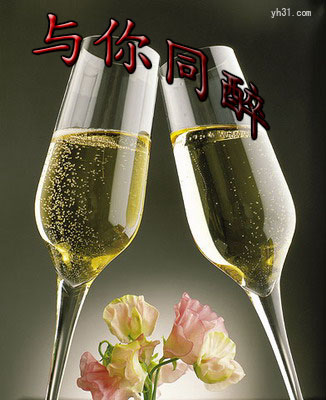 与你同醉