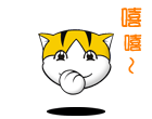 QQ表情图片-可爱猫咪