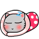 猫咪睡觉中，勿打搅