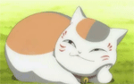 笑咪咪的肥猫咪