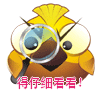 大眼鸟qq表情专题
