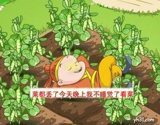 今晚不睡觉了，看菜