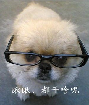 瞅瞅你们都在干啥